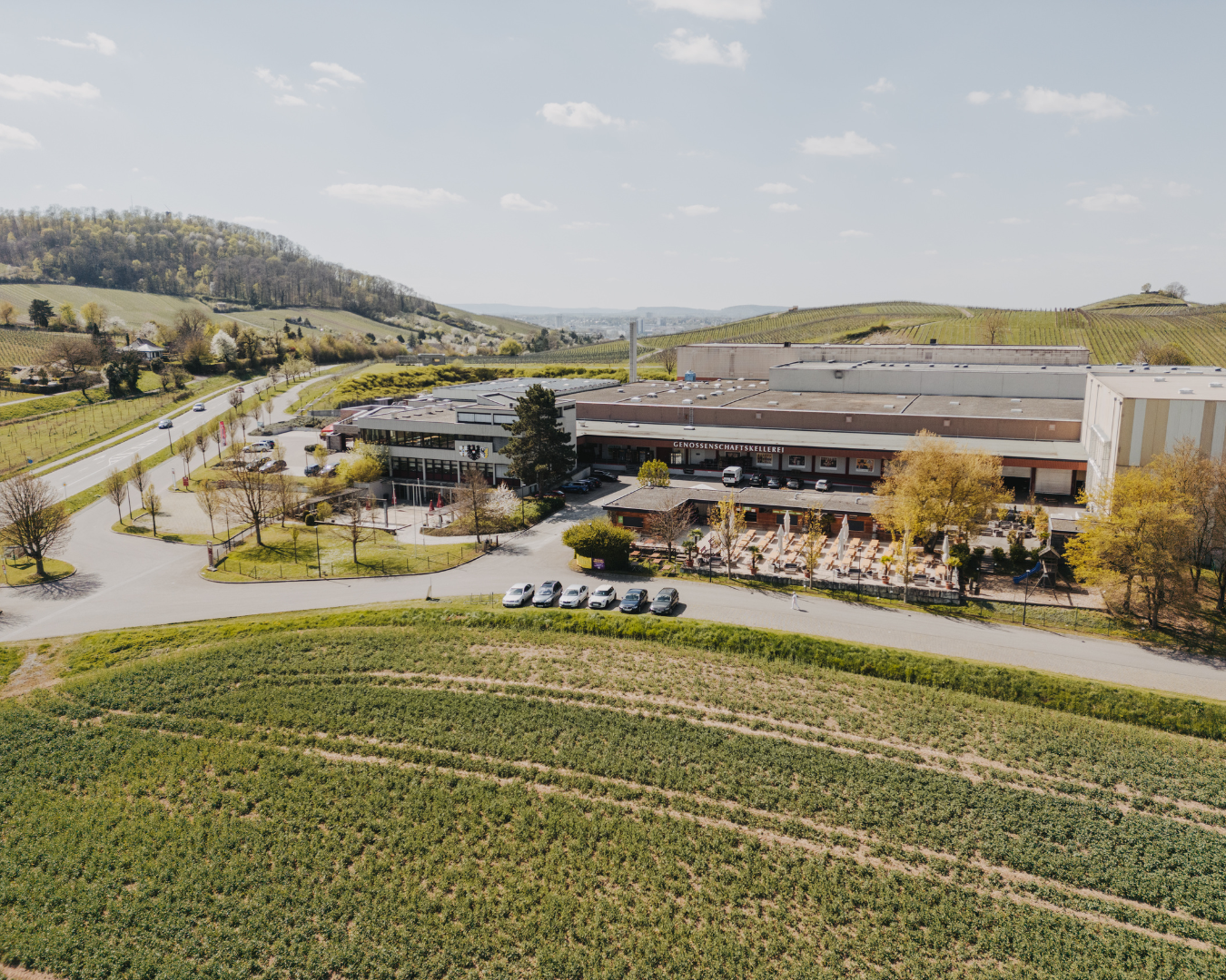 Afterwork: Sundowner im Weinberg